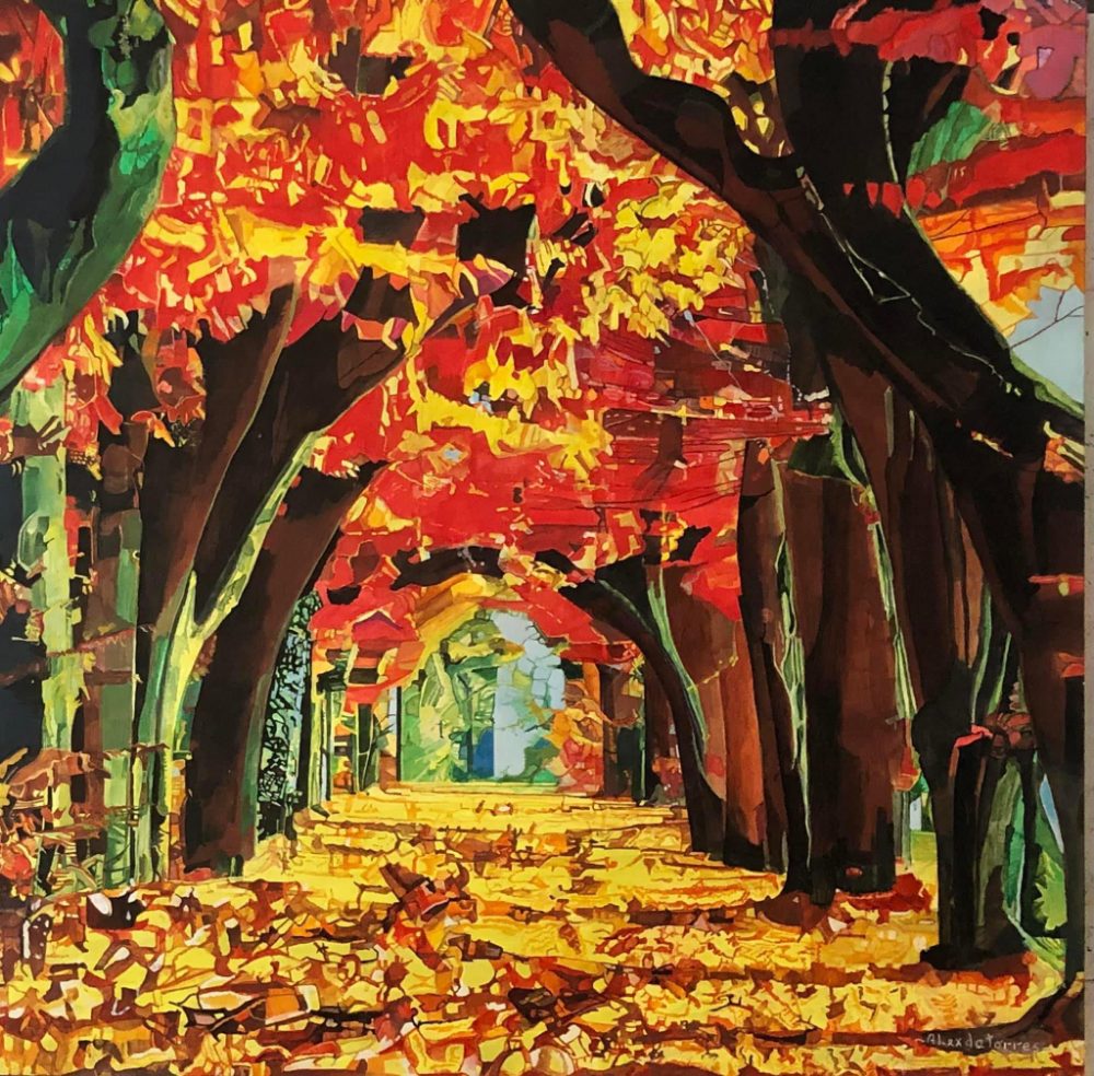 Il risveglio a colori